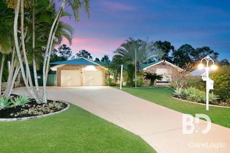 Property photo of 53 Hickory Drive Narangba QLD 4504