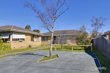 Property photo of 3/56 Tanti Avenue Mornington VIC 3931
