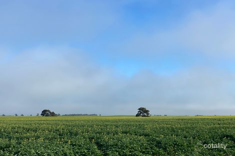 5460 Stawell-Warracknabeal Rd, Minyip, VIC 3392