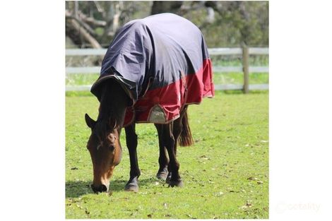 333 Padbury Ave, Millendon, WA 6056