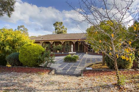Property photo of 14 Wirth Street Flora Hill VIC 3550