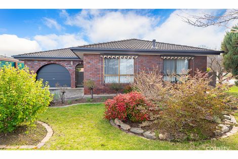 Property photo of 420 Schaefer Street Lavington NSW 2641