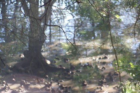 65 Pier Hvn, Lamb Island, QLD 4184