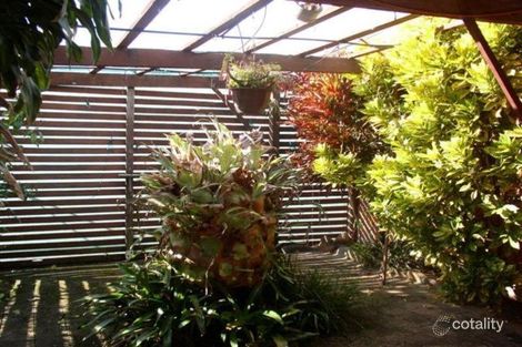 Property photo of 6 Kim Close Woolgoolga NSW 2456