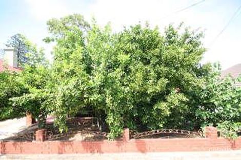 Property photo of 57 Maria Street Thebarton SA 5031
