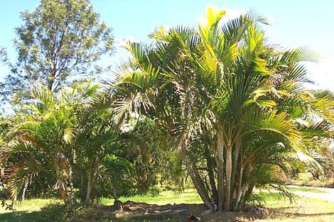 23 Quinn St, Kawana, QLD 4701