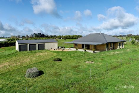 Property photo of 20 Chapman Street Spring Hill NSW 2800
