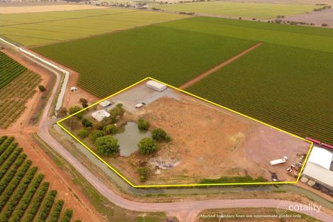 46 Dooley Rd, Leeton, NSW 2705