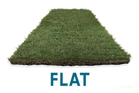 2831 Blackwood Cct, Cameron Park, NSW 2285