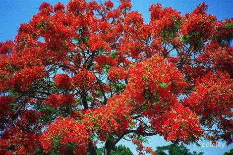 Property photo of 4 Wonich Fairway Greenfields WA 6210