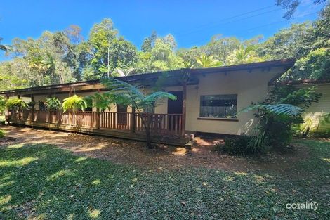 2905 Mossman-Daintree Rd, Lower Daintree, QLD 4873