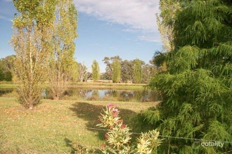 Property photo of 16 Nelson Court Thurgoona NSW 2640