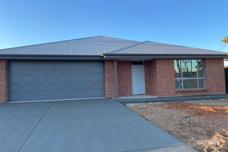 50 Krieg St, Nuriootpa, SA 5355