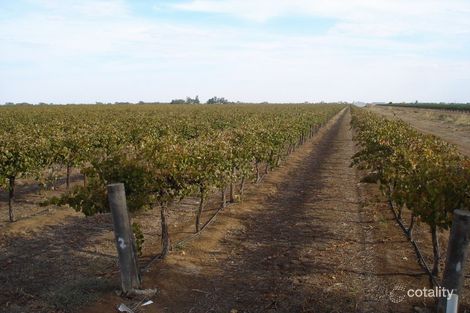 2559 Centofanti Rd, Yoogali, NSW 2680