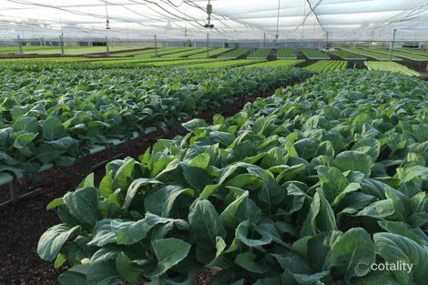 47-51 Helps Rd, Direk, SA 5110