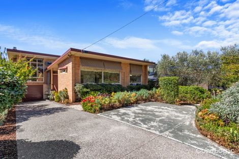 Property photo of 45 Hill Road Balwyn North VIC 3104