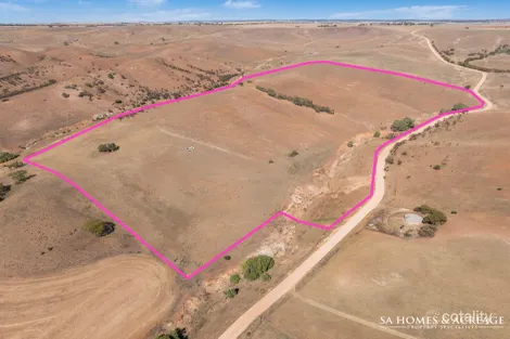 Lot 480 Cutting Rd, Point Pass, SA 5374