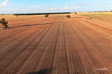 2648 Old Narrandera Rd, Currawarna, NSW 2650