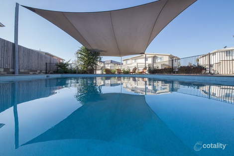 Property photo of 43/14 Photinia Crescent Mountain Creek QLD 4557