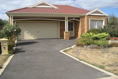 7 Liverpool Cct, Craigieburn, VIC 3064