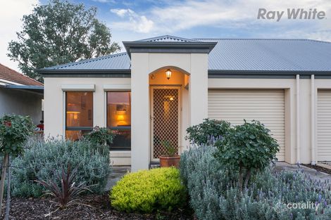 Property photo of 30 Allambee Avenue Edwardstown SA 5039
