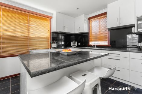 Property photo of 3 Murphy Place Scottsdale TAS 7260