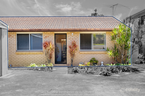 Property photo of 146 Barrack Road Cannon Hill QLD 4170