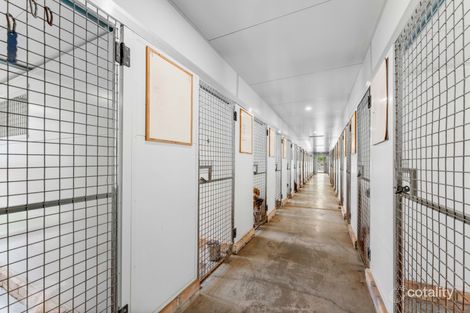 Property photo of 267 Woodberry Road Millers Forest NSW 2324