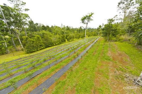 Property photo of 10 Fishers Creek Road Coorumba QLD 4860