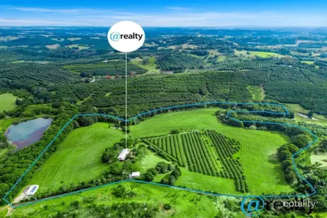 Property photo of 617 Hinterland Way Newrybar NSW 2479