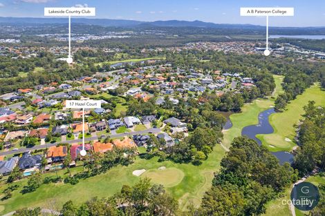 Property photo of 17 Hazel Court Arundel QLD 4214