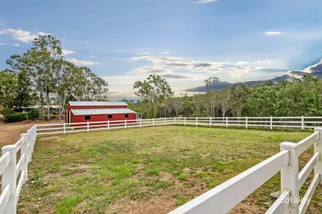 Property photo of 236 Burgess Road Calico Creek QLD 4570