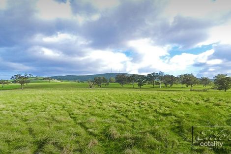 1445 Bendigo-Sutton Grange Rd, Sutton Grange, VIC 3448