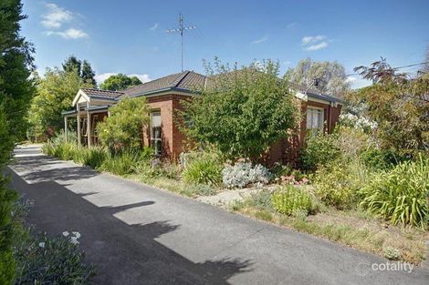 1/3 Daisy St, Newtown, VIC 3220