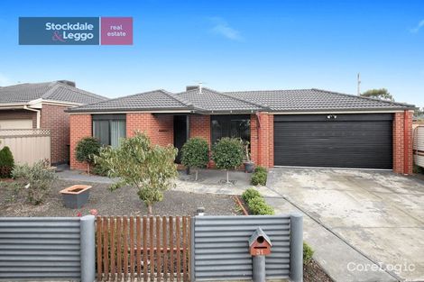 Property photo of 31 Hamilton Street Craigieburn VIC 3064