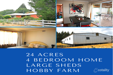 Property photo of 330 Mathinna Plains Road Mathinna TAS 7214