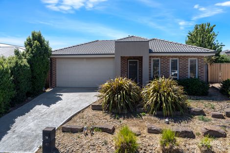 16 Halycon Bend, Beveridge, VIC 3753