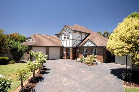 13 Brunswick Tce, Wynn Vale, SA 5127