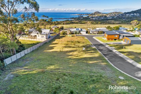 9 Wedge Tail Cct, Bicheno, TAS 7215