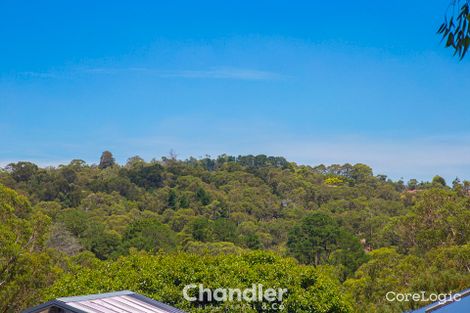 Property photo of 182 Mt Morton Road Belgrave Heights VIC 3160