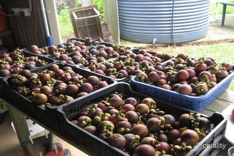 Property photo of 10 Fishers Creek Road Coorumba QLD 4860