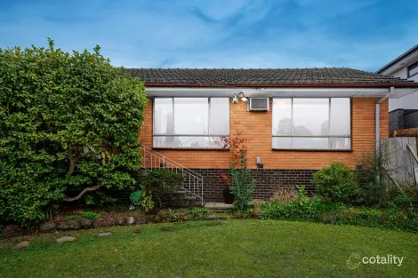 13 Kneale Dr, Box Hill North, VIC 3129