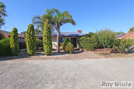 Property photo of 39 Calliandra Way Forrestfield WA 6058