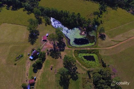Property photo of 51 Loggers Way Cedar Party NSW 2429