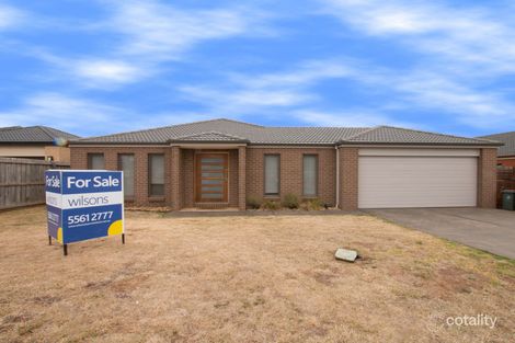 Property photo of 15 Thomas Place Warrnambool VIC 3280