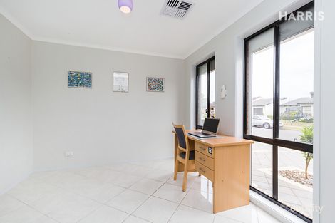 Property photo of 63 Holthouse Road Fulham Gardens SA 5024