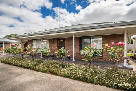 1/1 Hart St, Mount Gambier, SA 5290