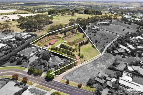 Property photo of 46 Challambra Crescent Highton VIC 3216