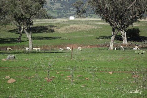 Property photo of 693 Swinging Ridges Road Ardglen NSW 2338