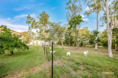 Property photo of 60 Woods Road Sharon QLD 4670